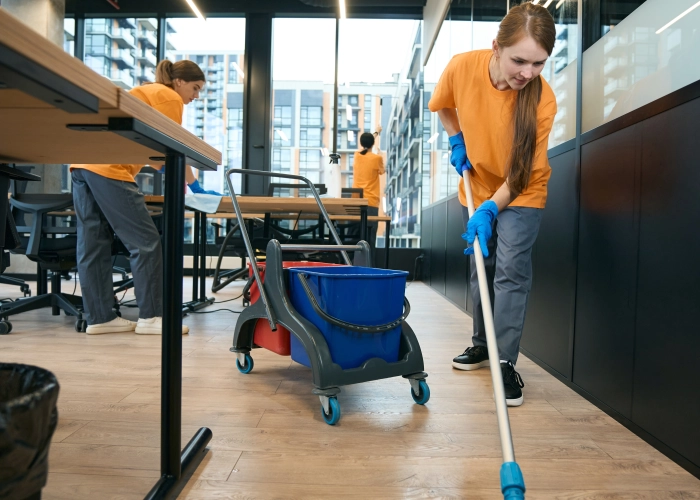 Nettoyage expert des immeubles de bureaux à Lucq-de-Béarn (64360)
